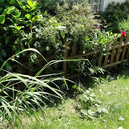 Paschke Zentrum Daire Möhnesee