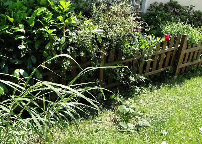 Paschke Zentrum Lägenhet Möhnesee