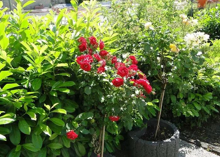 Διαμέρισμα Paschke Zentrum