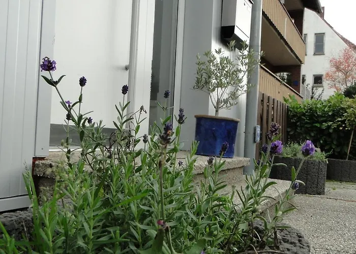 Lägenhet Paschke Zentrum